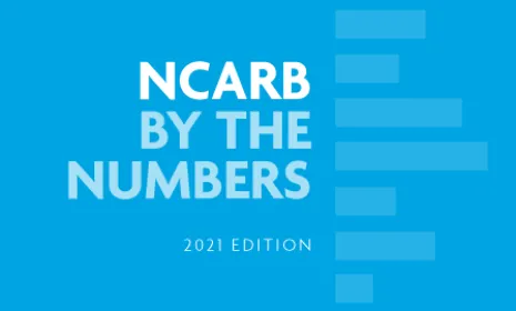 Graphic that reads "NCARB by the Numbers, 2021 edition."