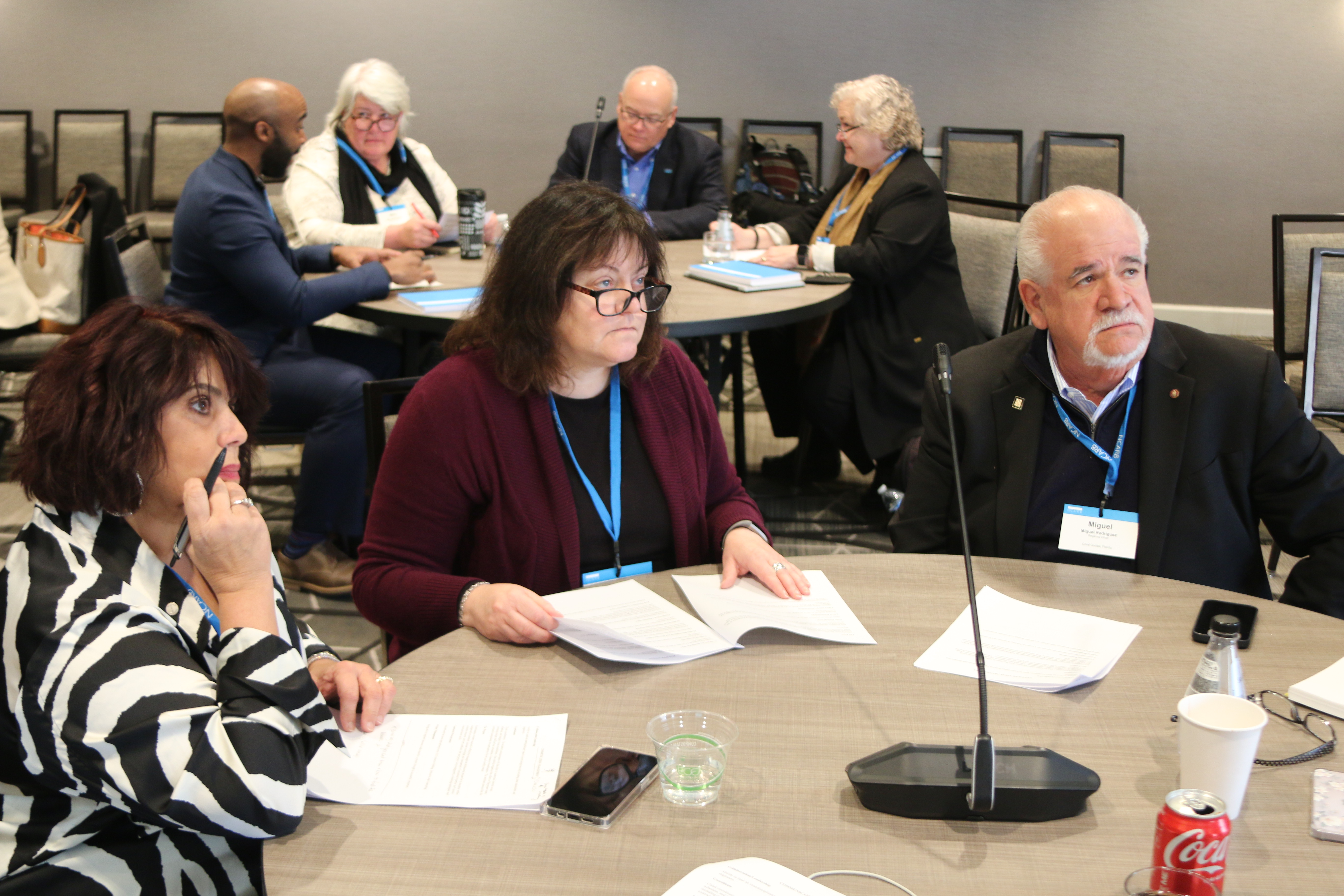 NCARB's DEI Committee members. 