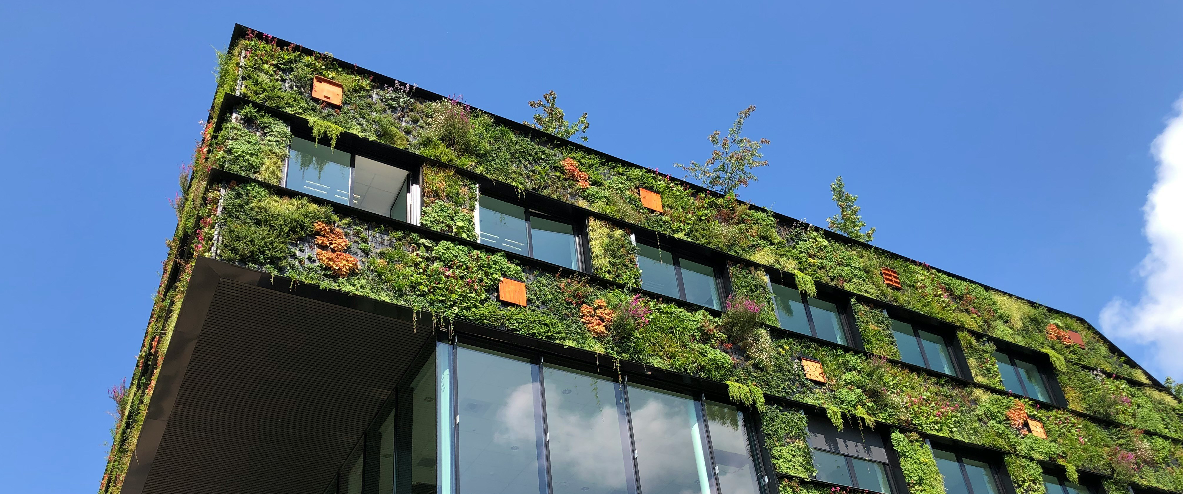 Check out NCARB's top continuing education courses on sustainable design.