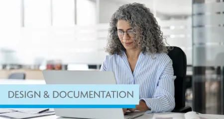 Competency Standard domains explained