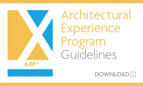 AXP Guidelines