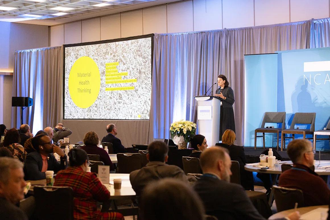 Alison Mears, executive director and co-founder of Parsons Healthy Materials Lab.